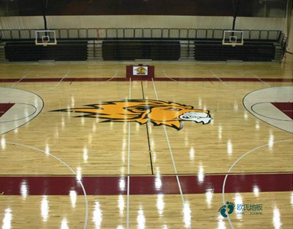 室內運動場地木質地板的核心